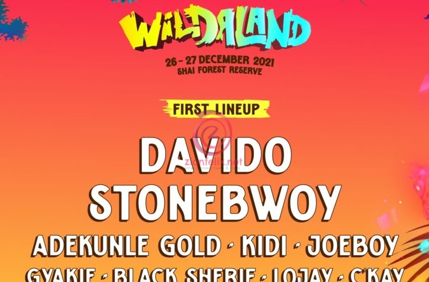  WILDALAND: Davido, Stonebwoy, R2Bees, And Over 2O Top Acts Set To Headline Africa’s “Glastonbury”