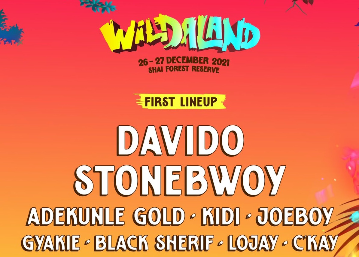 WILDALAND: Davido, Stonebwoy, R2Bees, And Over 2O Top Acts Set To Headline Africa’s “Glastonbury”