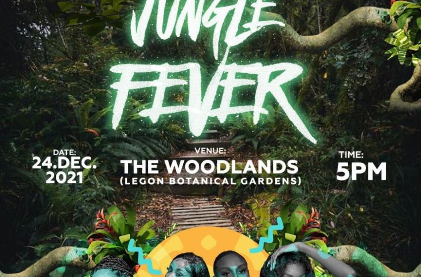 Jungle Fever Disrupts December In Ghana