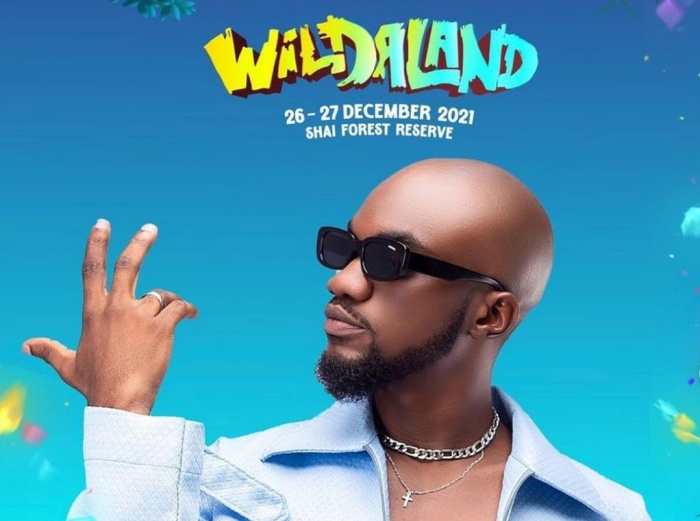  Mr. Drew Reported To Have Walked Off Stage Angrily At Wildaland Festival 2021- Full Details Here