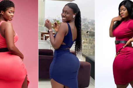 Meet Sheena, The Ghanaian Actress Who Has Arguably Dethroned Hajia Bintu As The Queen Of Curves And Ny@sh (+Videos)